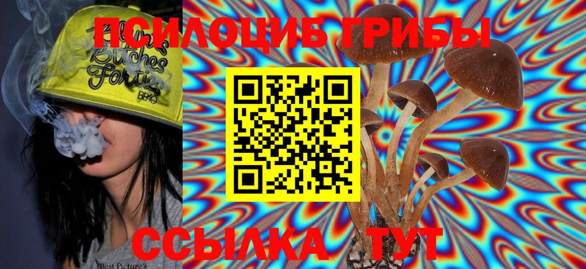 Псилоцибиновые грибы Psilocybe  Вход с VPN  Галлюциногенные грибы GOLDEN TEACHER  Ахтубинск 