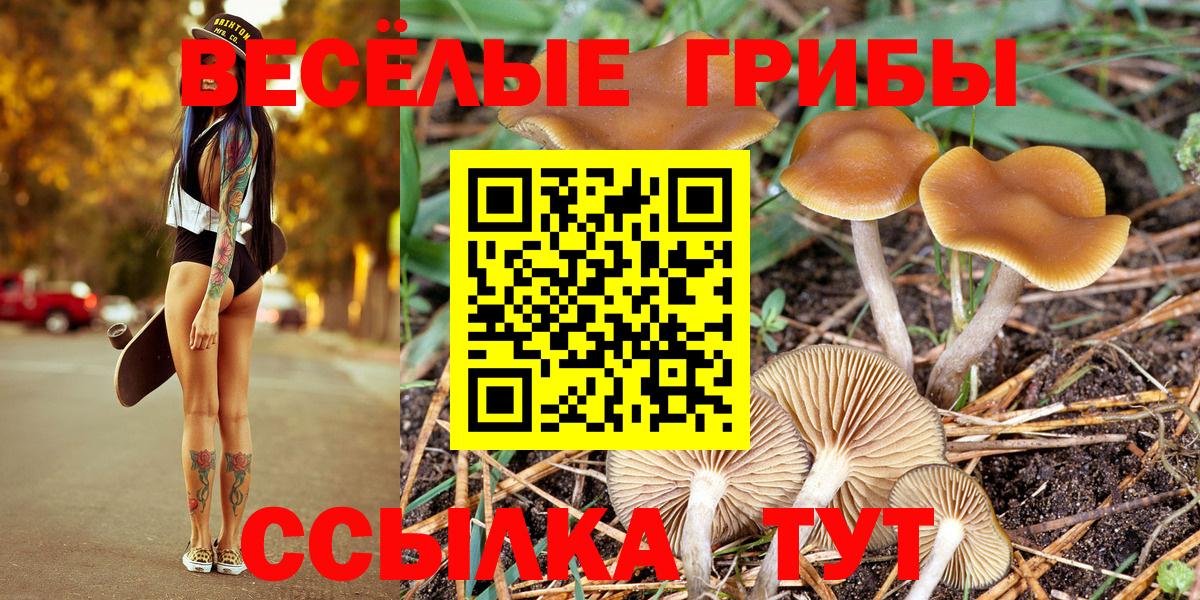 Псилоцибиновые грибы мицелий Ахтубинск