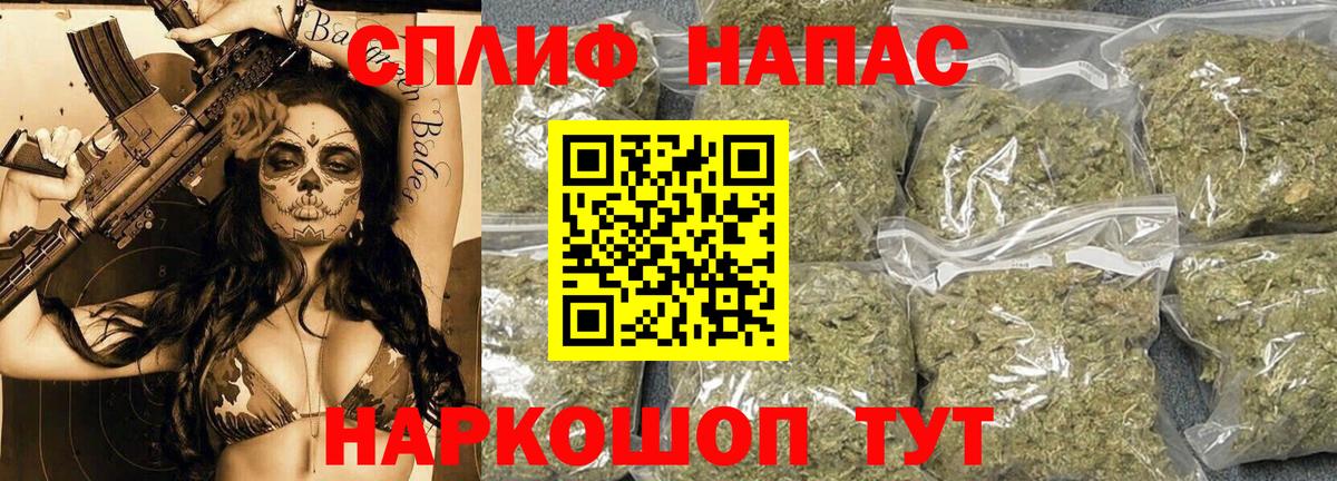 Конопля планчик Ахтубинск